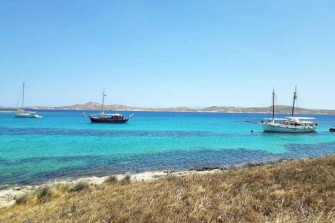 The Authentic Rhenia-Delos Cruise - What to expect from the onboard meal