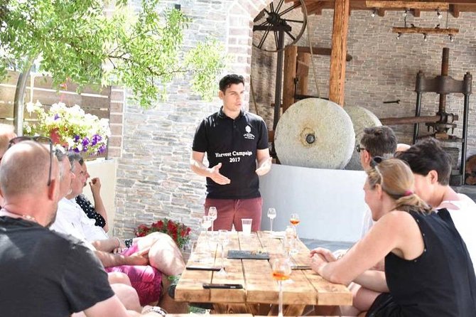 The Governor's Olive Mill Tour with Olive Oil Tasting - Key points to know before you book