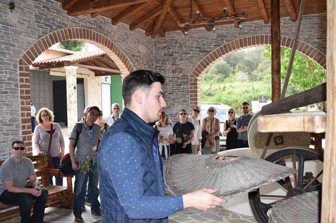 The Governor's Olive Mill Tour with Olive Oil Tasting - Inside The Governor Olive Mill