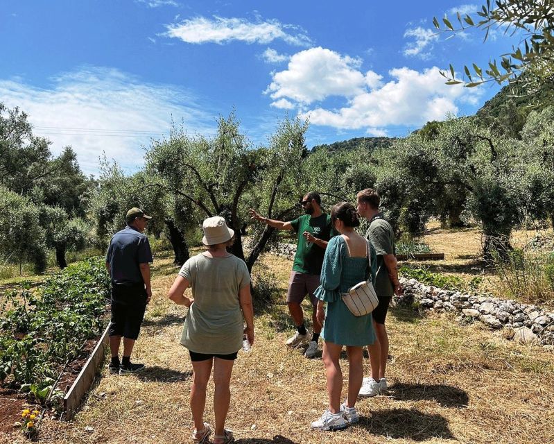 The Olive Oil Experience @ Lefkada Micro Farm - Should you book the Olive Oil Experience?