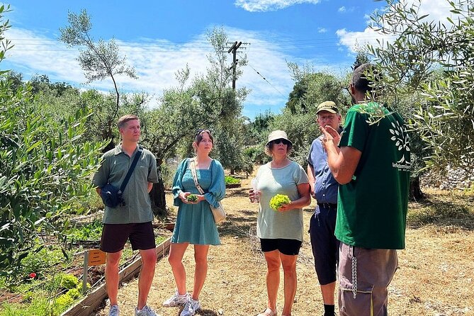 The Olive Oil Experience @ Lefkada Micro Farm - Why an olive oil lesson belongs on a Lefkada trip