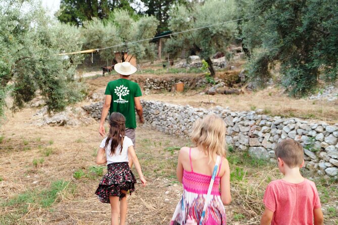 The Olive Oil Experience @ Lefkada Micro Farm - From the grove to the bottle