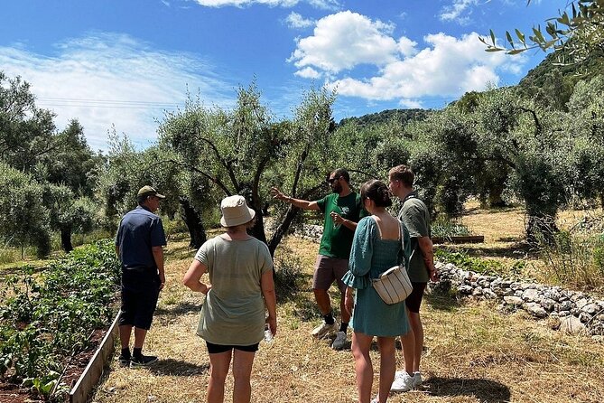 The Olive Oil Experience @ Lefkada Micro Farm - Practical details before you book