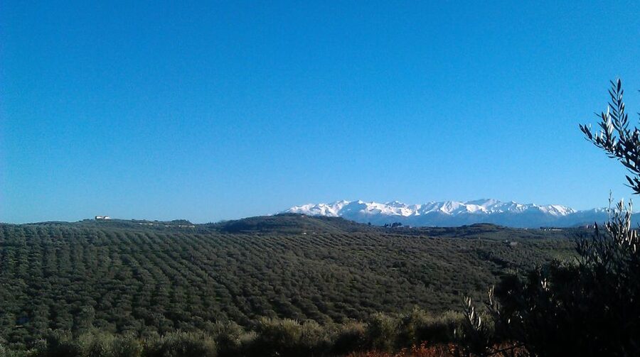 The Terra Creta Olive Oil Experience Tour - How to fit the tour into a Crete itinerary