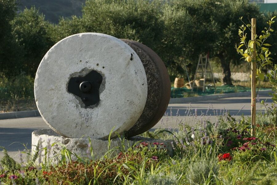 The Terra Creta Olive Oil Experience Tour - From olive harvest to sealed bottle