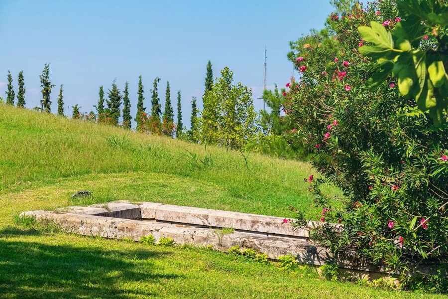 Thessaloniki: Vergina and Pella Day Trip - The schedule, pace, and free time