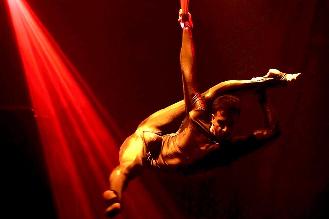 Troy Dinner-Show - Who will enjoy Troy most?