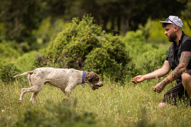 Truffle Hunting at Meteora - Is truffle hunting in Meteora right for you?