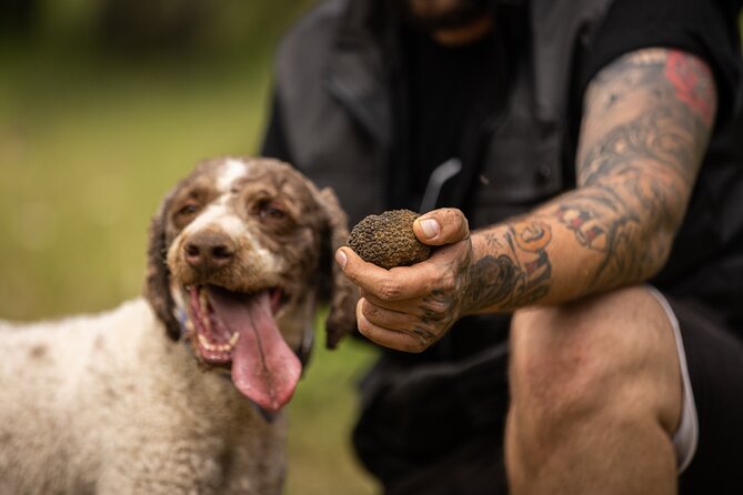 Truffle Hunting at Meteora - Getting from Kalabaka to the Pindos woods
