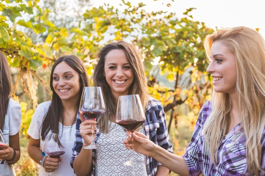 Vineyard Sips: Family Winery Tour & Gourmet Tasting in Corfu - Group Size and the Family Feel