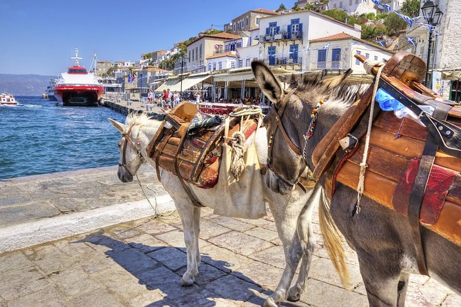 VIP Day Cruise from Athens to Hydra, Poros and Aegina - What the guides and onboard staff add