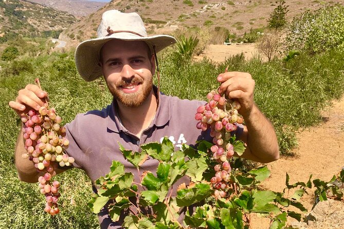 Wine Tasting and Tour in Saint Anna Winery in Naxos - The wines you are likely to taste