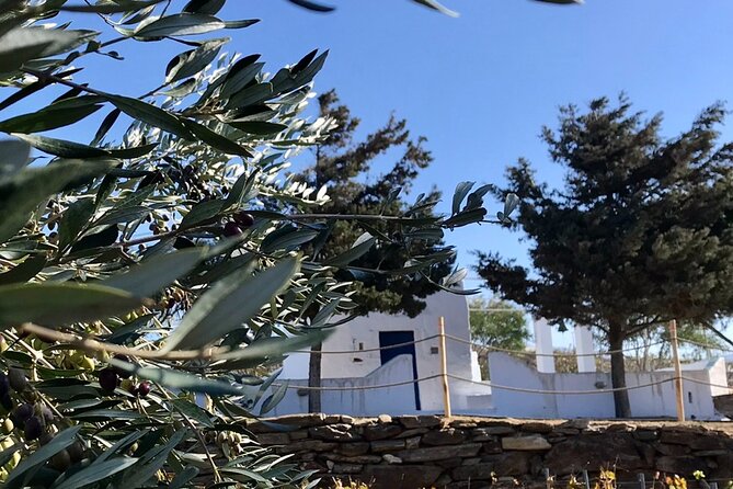 Wine Tasting and Tour in Saint Anna Winery in Naxos - Local food turns the tasting into supper