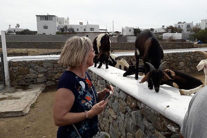 Wine Tasting Tour at a traditional farm in Mykonos - Noon or 6pm: choosing the better departure