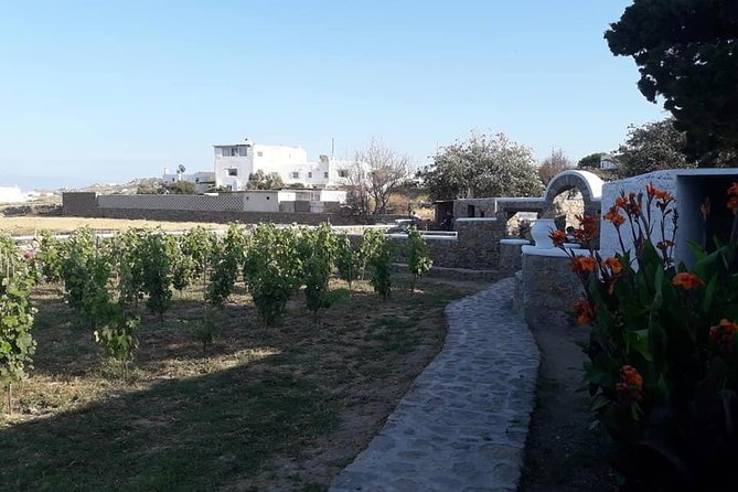 Wine Tasting Tour at a traditional farm in Mykonos - How much value do you get for $90.70?
