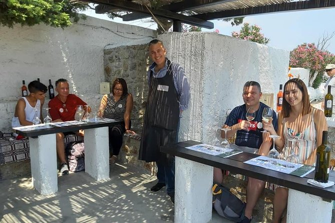 Wine Tasting Tour at a traditional farm in Mykonos - Group size and social atmosphere