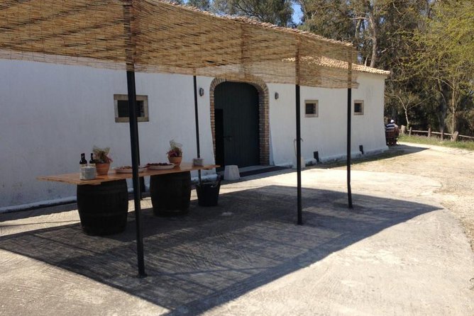 Winery tour with Wine and Olive tasting in Corfu - Why the olive oil option improves the visit