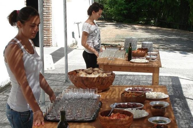 Winery tour with Wine and Olive tasting in Corfu - The estate grounds and the feel of the stop