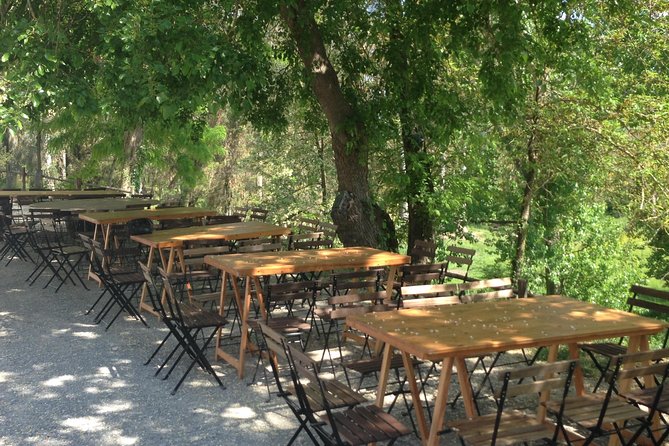 Winery tour with Wine and Olive tasting in Corfu - What the short winery tour includes