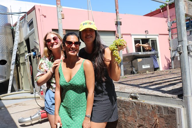 "YAMAS" - Winery tour &wine tasting - What makes the price worthwhile