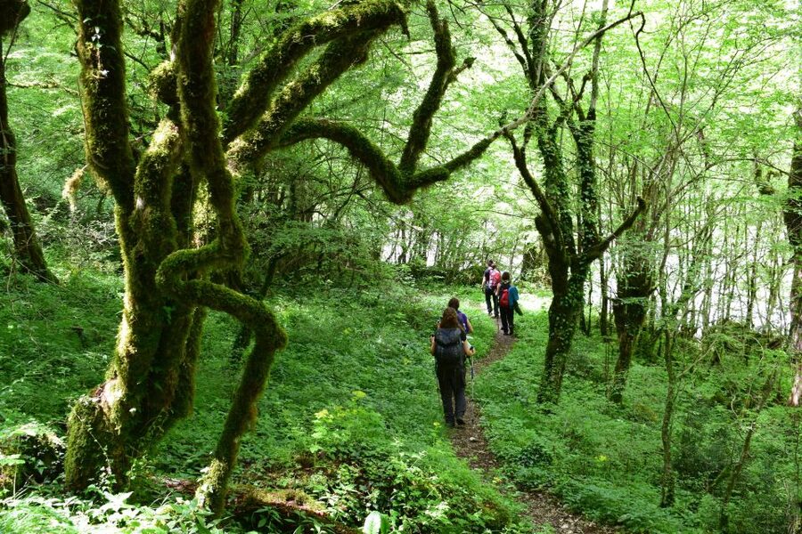 Zagori: Vikos Gorge full-day guided hike - Key points to know before you book
