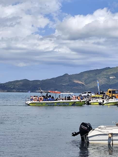 Zakynthos: Turtle Spotting, Marathonísi & Keri Caves Cruise - Who will enjoy this trip most?