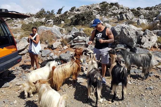 Zeus Cave, Lassithi Plateau, Olive Oil Factory, Kritza, Pottery - Pottery, goats, and the parts that can change